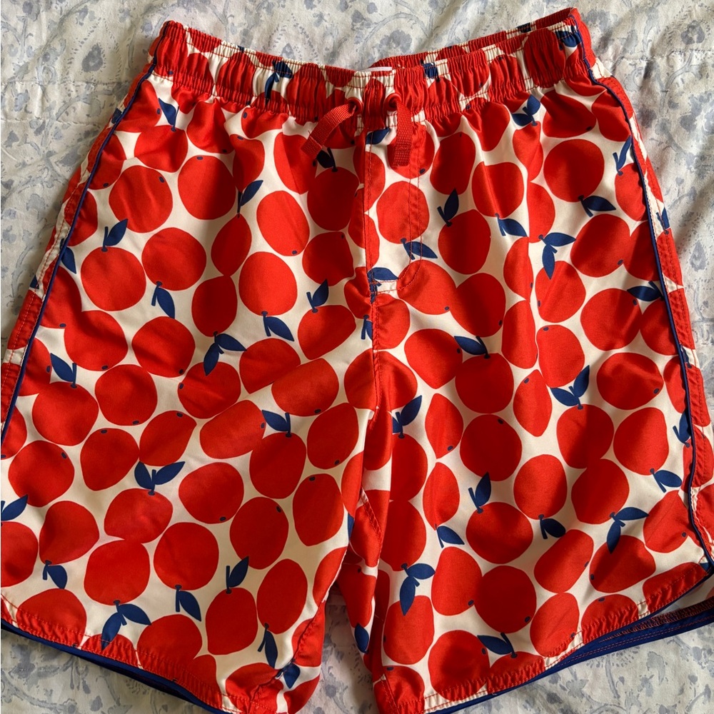 Hanna Andersson swim trunks 12